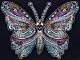 TATARUGA  Samtbild                    A4 - S29       Schmetterling