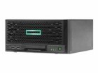 Hewlett Packard Enterprise HPE Server MicroServer Gen10 Plus Intel Xeon E-2224
