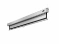 Celexon Rollo-Leinwand Professional Plus 200x150 cm 4:3