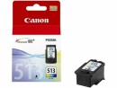 Canon Tinte CL-513 / 2971B001 Color, Druckleistung Seiten: 349
