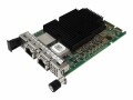 Lenovo ThinkSystem Marvell QL41132 - Netzwerkadapter - OCP