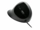 Image 12 Kensington Pro Fit Ergo - Mouse - ergonomic