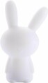 Big Ben Lumin`Us Rabbit