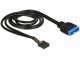 Immagine 1 DeLock DeLOCK - Internes USB-Kabel - 19-polige