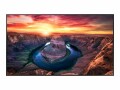 Samsung Public Display QM65B 65", Bildschirmdiagonale: 65 "