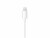 Bild 3 Apple Audio-Kabel Apple Lightning - Klinke 3.5 mm, male