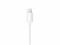 Bild 3 Apple Audio-Kabel Apple Lightning - Klinke 3.5 mm, male