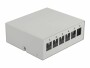 DeLock Gehäuse Keystone Patchpanel 6 Port grau, Detailfarbe