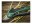Bild 8 Bosch Akku-Gartenschere EasyPrune, Schnittbreite: 22 mm