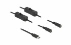 DeLock Hohlstecker Kabel USB Type-C zu 2 x DC