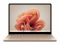 Microsoft Surface Laptop Go 3 - Intel Core i5