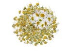 Glorex Blüten Kamille 3g, Volumen: 3 g, Detailfarbe: Gelb