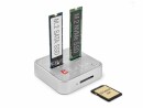 DeLock Dockingstation für 1 x M.2 NVMe SSD + 1 x M.2 SATA SSD
