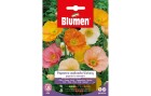 Blumen Saatgut Mohn Victory Mix, Bio: Nein, Blütenfarbe