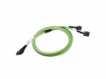 Broadcom Slim-SAS-Kabel SFF-8654 - 2x SFF-8643, 100 cm