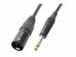 PD Connex CX38-1 XLR 3 Pole, male - Klinke 6.3