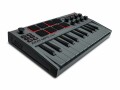 AKAI MPK Mini MK3 Grey 25-Tasten Controllerkeyboard