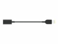 Lenovo USB-C to Slim-tip Cable Adapter - Adapter für