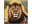 Bild 2 CRAFT Buddy Bastelset Crystal Art Card Resting Lion