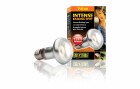 Exo Terra Terrarienlampe Intense Basking Spot E27, R20/75W