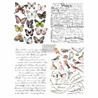 Redesign Decor Transferfolie - Parisian Butterflies
