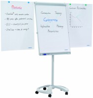 FRANKEN Flipchart-Tafel Deluxe FC81 Mobil 67x95cm, hellgrau, Kein