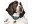 Bild 0 Dog with a mission Halsband Boho Juan, XXL, 4 cm, Halsumfang: 55