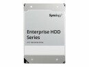 Synology Harddisk HAT5310 3.5" SATA 8 TB, Speicher