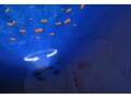 ZaZu Projektor Ocean Cody, Lampensockel: LED fest verbaut