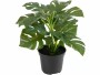 Botanic-Haus Kunstpflanze Philodendron im Topf 28 cm, Produkttyp