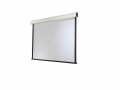 Celexon Motorleinwand Expert XL 450x340 cm 4:3, Leinwandtyp