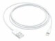 Apple - Câble Lightning - USB mâle pour Lightning