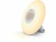 Philips Lichtwecker Wake-up Light HF3505/01, Wecktöne: 2