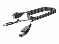 Hewlett-Packard HP 300cm DP+USB PWR CABLE