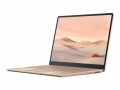 Microsoft Surface Laptop Go Business (i5, 8GB, 256GB), Prozessortyp