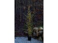 Sirius Weihnachtsbaum Milas, 180 cm, 180 LEDs, Grün, Höhe