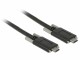 DeLock USB 3.1-Kabel SuperSpeed USB C 