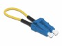 DeLock LWL Loopback Adapter LC / UPC Singlemode, Blau