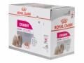 Royal Canin Nassfutter Care Nutrition Exigent Mousse, 12 x 85g