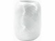 Stewo Geschenkband Poly Ribbon Weiss, Material: Kunststoff