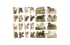 Creativ Company Streudeko Hunde 2 Blatt, Motiv: Katze, Material: Karton