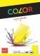 ELCO      Office Color Papier         A4 - 74616.72  80g, gelb            100 Blatt