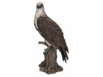 Vivid Arts Dekofigur Fischadler 39.5 cm, Eigenschaften: Keine