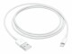 Apple Lightning to USB Cable (1 m
