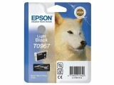Epson Tinte C13T09674010 Black, Druckleistung Seiten: 6210 ×