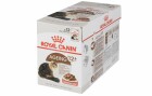 Royal Canin Nassfutter Ageing 12+ in Sosse, 12 x 85