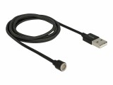 DeLock USB-Kabel magnetisch ohne Adapter USB A - Spezial