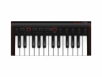 IK Multimedia Keyboard Controller iRig Keys 2 Mini, Tastatur Keys