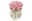 Bild 0 Soli Collection Trockenblumen Rosen 8 Stück, Rosa, Produkttyp