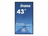 iiyama Monitor ProLite LH4370UHB-B1, Bildschirmdiagonale: 49.5 "